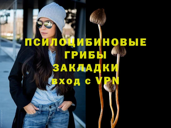 синтетический гашиш Алексин