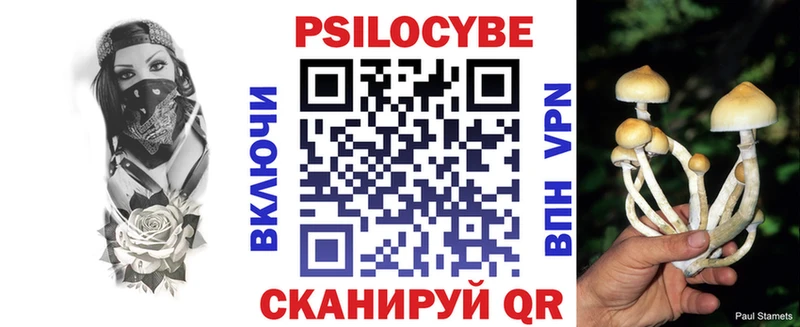 Галлюциногенные грибы GOLDEN TEACHER кракен tor Солнечногорск цена наркотик