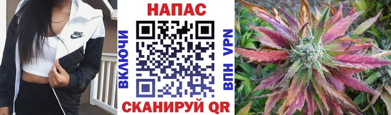 Марихуана тримм  Солнечногорск 